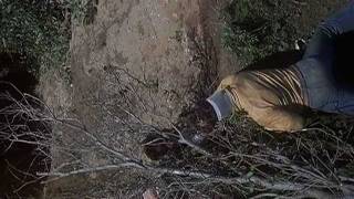 Mystery Manhulkout 2