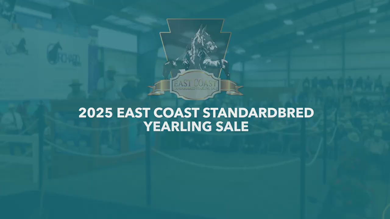 2025 East Coast Standardbred Yearling Sale | AuctionPro