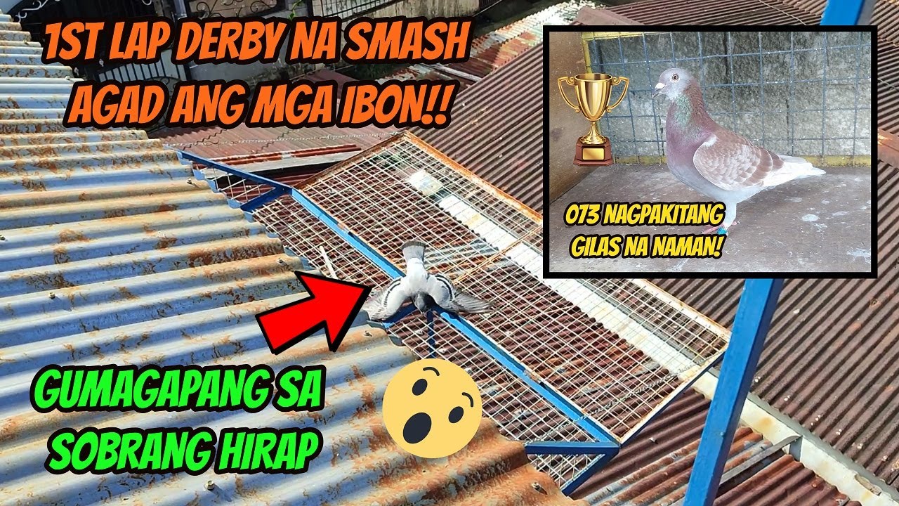 1ST LAP DERBY SMASH RACE UBUSAN AGAD NG IBON - 073 NAGPAKITANG GILAS NA NAMAN
