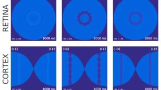Geometric visual hallucinations induced by a flickering annulus