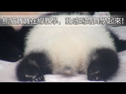 《熊貓早晚安》熊貓寶寶在線教學，動感踢踏舞學起來！ | iPanda