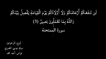 حالات واتساب دينية سورة الممتحنة