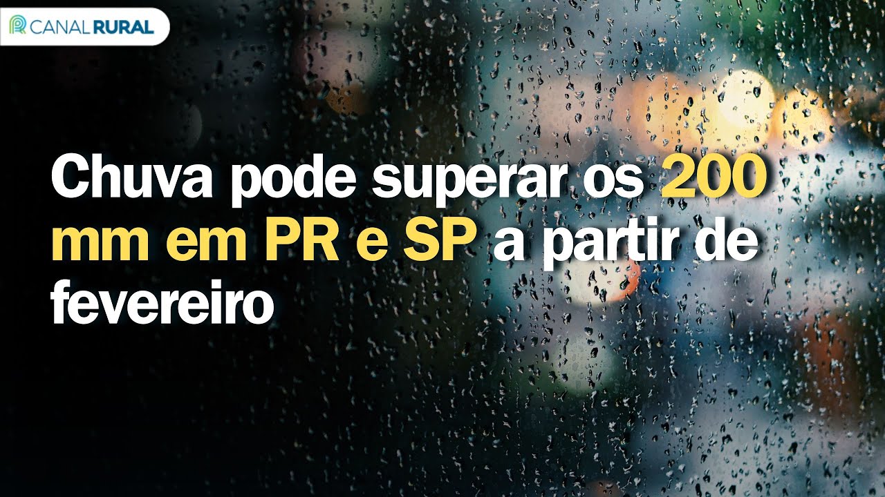 Previsão do tempo | Brasil 15 dias | Chuva pode superar os 200 mm em PR e SP a partir de fevereiro