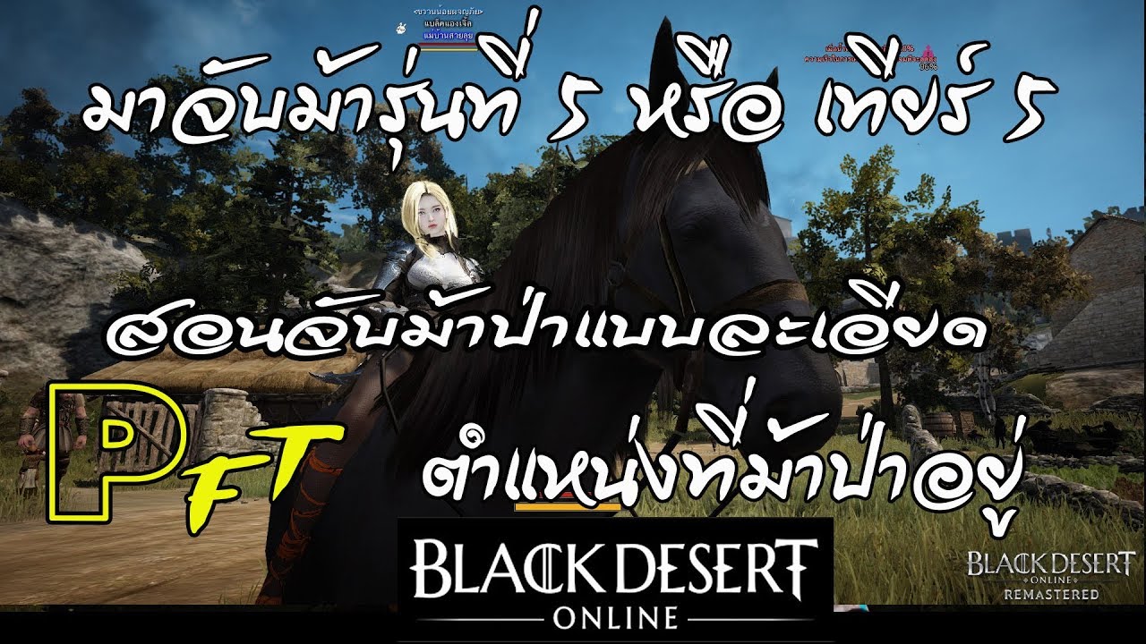 bdo จับม้า  Update 2022  Black Desert วิธีจับม้าป่าทีละขั้นตอน หาม้าเทียร์5 ตำแหน่งม้าเทียร์5 หรือรุ่น5