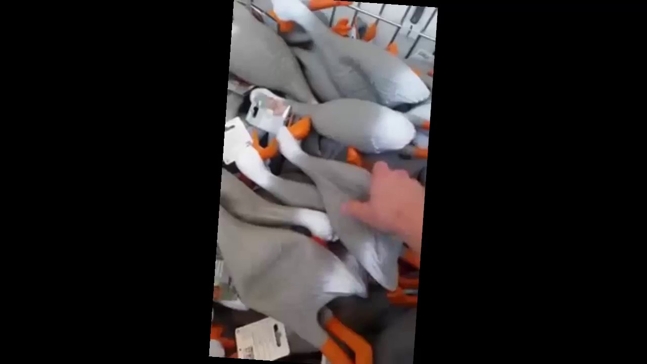 Duck Army - Dank Meme