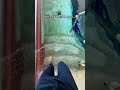 The Deepest Pool In The World ЁЯШ Shorts Dubai The Deepest Pool In The World ЁЯШ Shorts Dubai