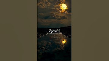 ماتيسر من سورة يوسف:|(القارئ خالد الجليل)#قرآن #قران_كريم #الاطمئنان #quran اكتب شيئ تؤجر عليه