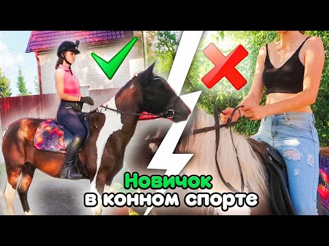 Что Нужно НАЧИНАЮЩЕМУ ВСАДНИКУ ? Первая ЭКИПИРОВКА и АМУНИЦИЯ