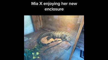 Thumbnail of Mia X you don’t wanna go to war 2