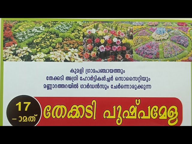 Thekkady Flower show 2025