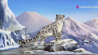 Meet the Elusive Snow Leopard of Afghanistan