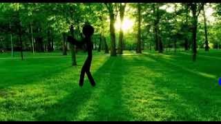 Green Forest Green Forest