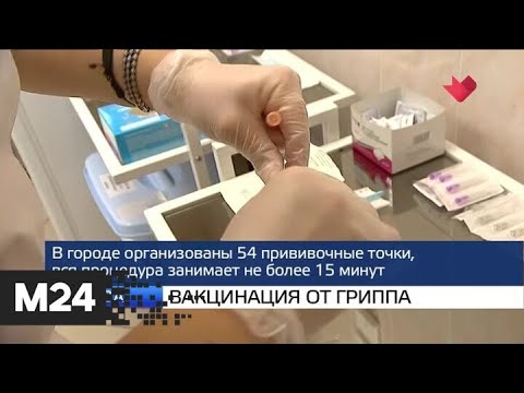 "Москва и мир": Более миллиона москвичей сделали прививку против гриппа - Москва 24