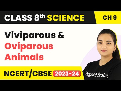 Class 8 Science Chapter 9 | Viviparous and Oviparous Animals - Reproduction in Animals