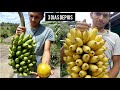 como amadurecer banana em apenas três dias (sem nenhum produto químico)