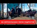 На зерносушилке погиб подросток | Зона Х