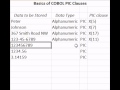 Basics of cobol pic clauses