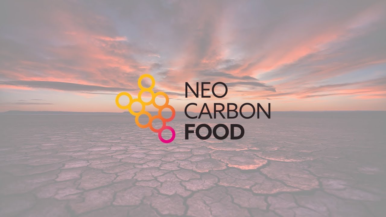Food from electricity NeoCarbon Food YouTube