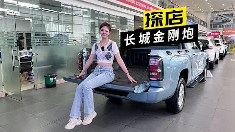 探店长城金刚炮，你确定这是台皮卡！？【车漫部落】 - 天天要闻