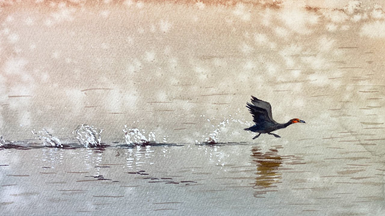 How to paint a cormorant running on water in watercolor painting