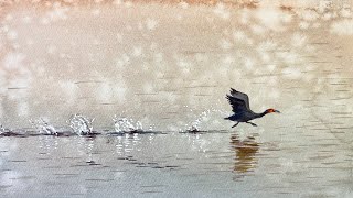 How to paint a cormorant running on water in watercolor painting