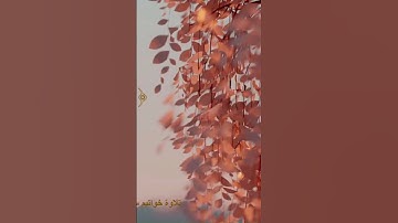 من تلاوة خواتيم سورة الذاريات