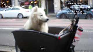 Yasuhara Momo 100 on Sony A6000 screenshot 4