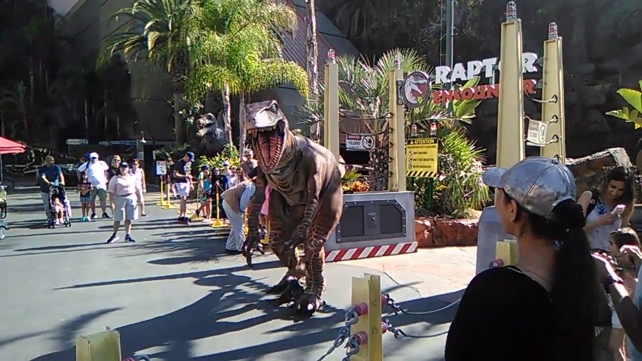 Universal Raptor Experience Raptor Experience at Universal Studios Hollywood - YouTube