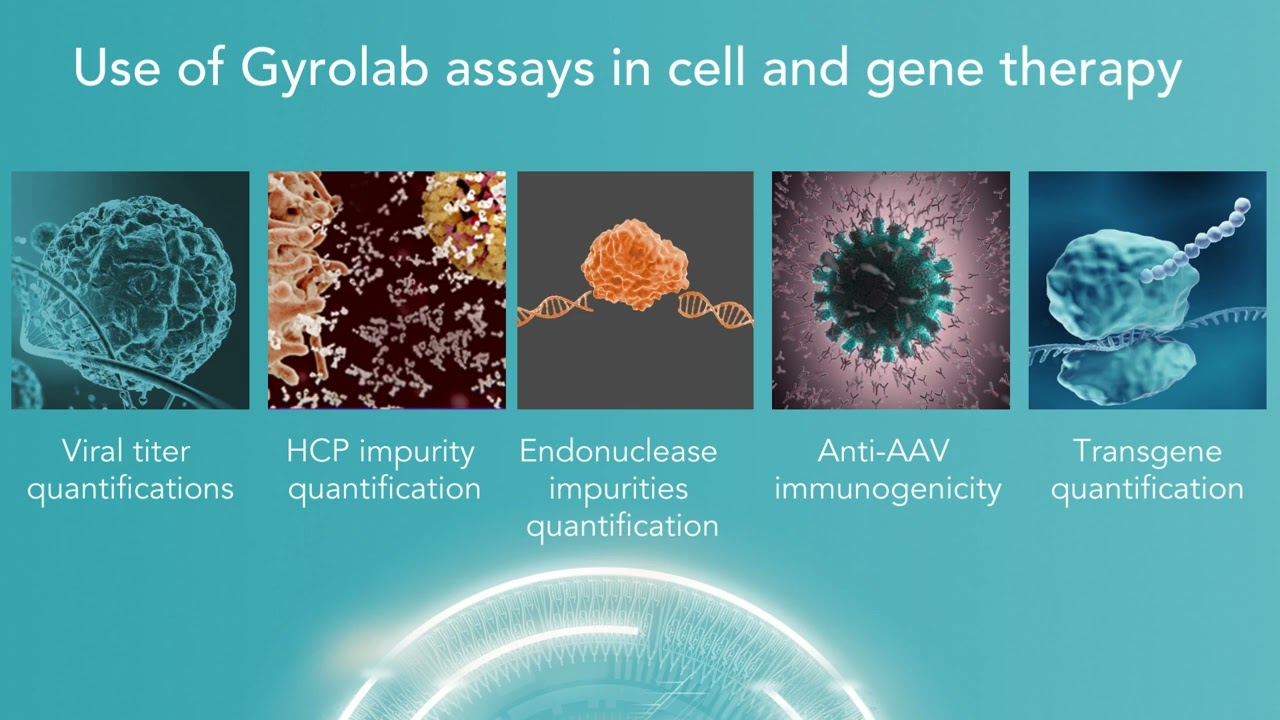 Accelerating time to insight in Cell & Gene Therapy