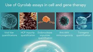 Accelerating time to insight in Cell & Gene Therapy