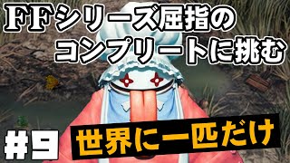 【FF9】最強の召喚士エーコが誰も見たことがない究極のデータを目指します（第9話～金策に奔走）