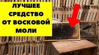 Что мы делаем чтобы сохранить темную сушь от восковой моли