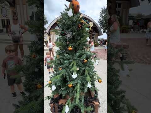 This Tree Has A Spooky Secret