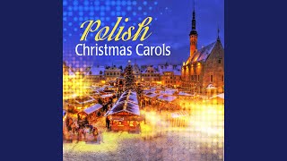 Download Lagu Mizerna Cicha MP3