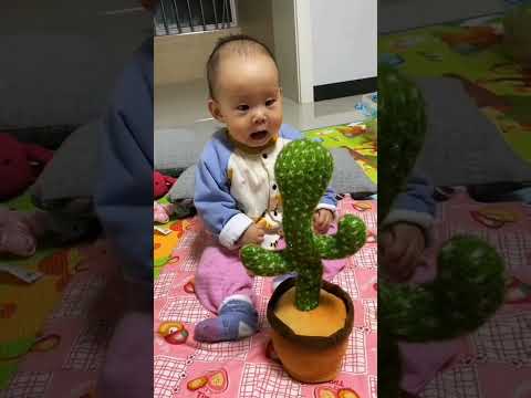 طفل يتحدى لعبة الصبار Shorts Trending Kids