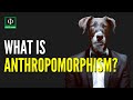 Understanding Anthropomorphism