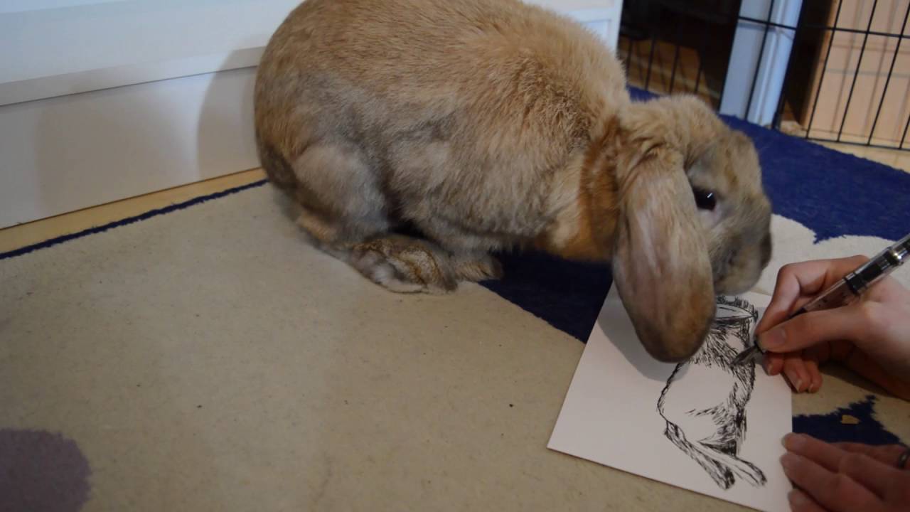 Inktober2016: Day 15