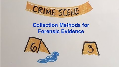 Forensic Evidence and DNA: considering the collection methods