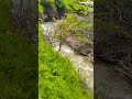 Hiking in the heart of nature #nature #4k #travel