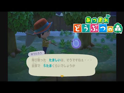 【あつまれ どうぶつの森】魂の数え方はたま【3日目】