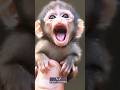 Ai tiny pets #ai #animals