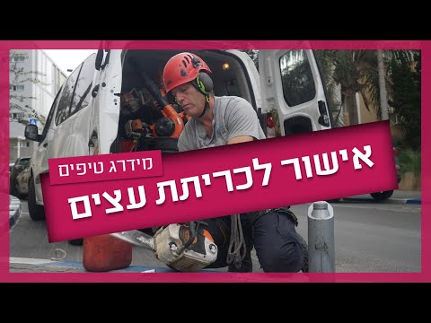 וִידֵאוֹ: האם הביטוח משלם על עצים שנפלו?