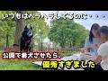 甲斐犬は賢くて強い!ピクニックで番犬させたら優秀すぎました