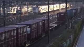 20141005 ４０８３レ　ＥＦ６６－３３牽引貨物列車