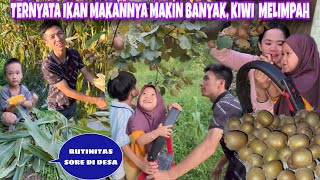 AFTERNOON ROUTINE IN THE VILLAGE, TURNS OUT THIS YEAR'S KIWI HARVEST IS BIG AND BOUNTIFUL, THE KI...