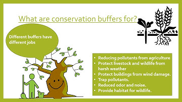 Agricultural Buffer Strips