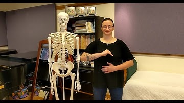 Vocal Breath Mechanics - Alexander Technique for Musicians