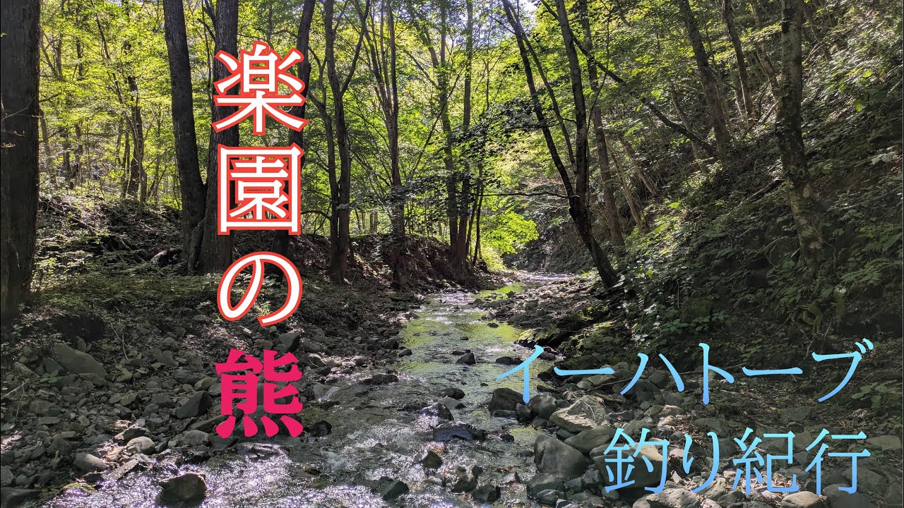 上流で待つ熊【フライフィッシング】楽園の主【イーハトーブ】