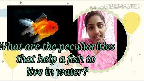 Class 4. E V S . Chapter 1. Fieds and Forest. Part 1