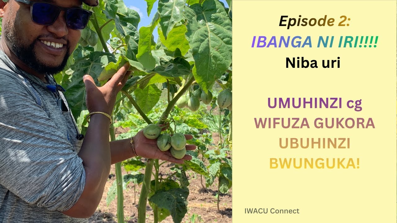 💰🌱“IGIRA HINO DUSHAKE AMAFARANGA MU BUHINZI BW'IBINYOMORO”💰🌱